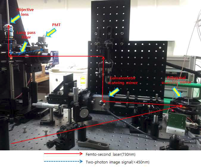 광학 테이블 위에 bench-top 형태로 제작된 고속의 Two-photon 현미경 및 광 경로
