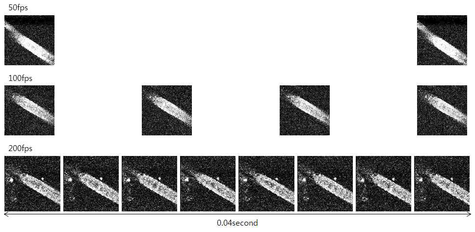 동일시간(40 ms) 동안 획득된 각 이미징 속도에 따른 영상