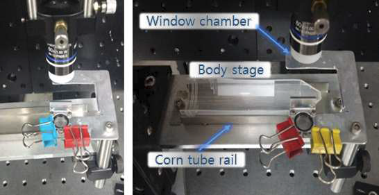 Window chamber가 부착된 동물 sample를 고정할 수 있는 sample stage 제작