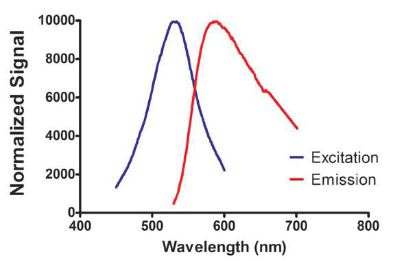 NileRed의 Excitation / Emission 형광 스펙트럼