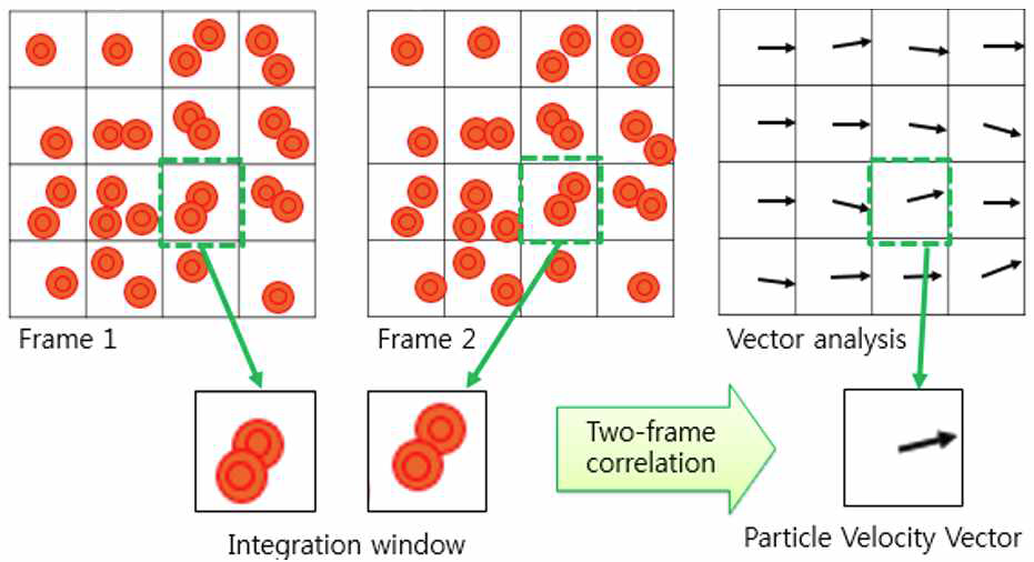 Particle Image Velocimetry 유동분석의 원리