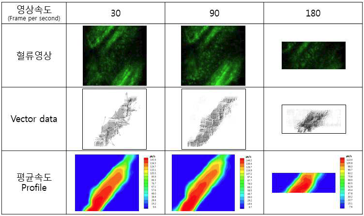 느린 혈류(최고 140㎛/s)에서의 영상속도에 따른 PIV 분석결과