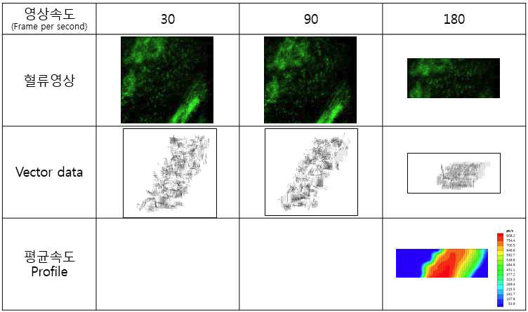 고속 혈류(최고 800㎛/s)에서의 영상속도에 따른 PIV 분석결과