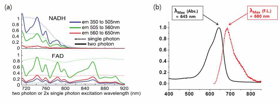 (a)NADH, FAD의 이광자 형광현상의 excitation 및 emission 파장, (b)기능성 물질 Material Y의 excitation 및 emission 파장