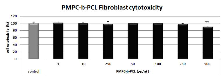 PMPC-b-PCL 섬유아세포 세포독성평가