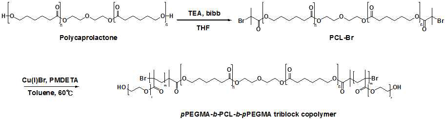 pPEGMA-b-PCL-b-pPEGMA 삼중 블록고분자 합성과정