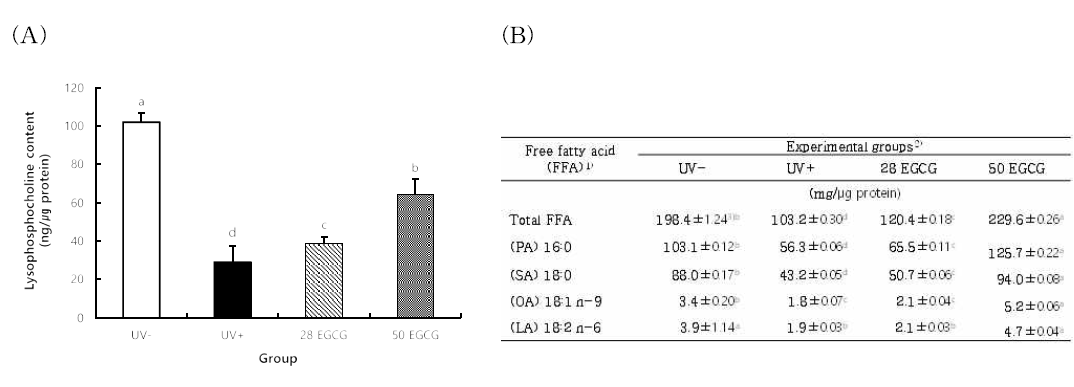 녹차카테친 섭취에 의한 (A) 표피 lyso-PC 및 (B) 유리지방산 함량 변화