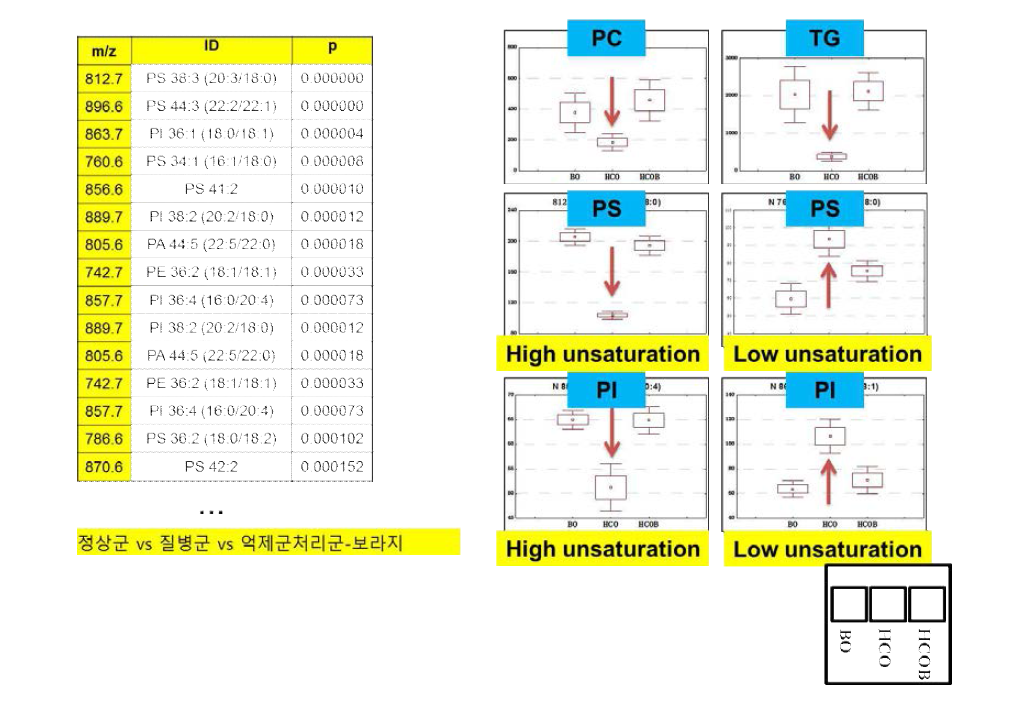 보라지유 및 코코넛유 식이 섭취에 따른 기니피그 피부 지질대사체 지표 발굴