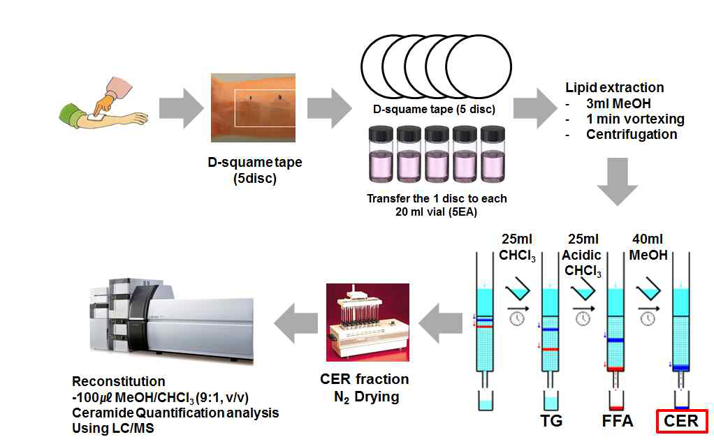 D-Squame tape 채취 시료 중 지질 추출 및 컬럼 크로마토그래피를 이용한 지질 분획화