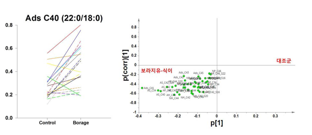 보라지유 섭취에 의한 세라마이드 함량 변화