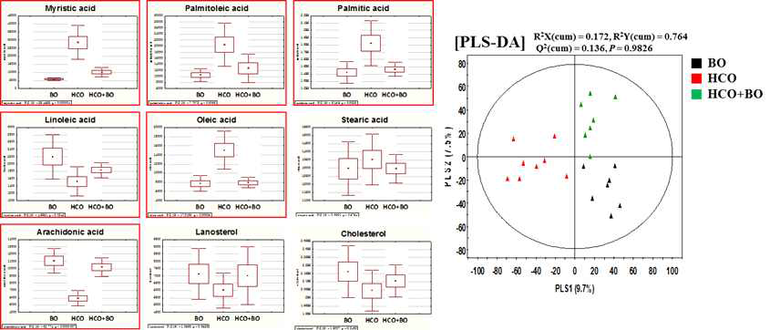 GC-TOF-MS로 분석한 기니피그 피부 대사체 프로파일링 다변량 통계분석 결과 및 차이나는 피부 내인성대사체 (BO: 정상 대조군, HCO: 피부 과증식 유발군, HCO+BO: 피부과증식 유발 후 보라지유 섭취군)