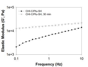 키토산-카테콜/티올기가 결합된 플루로닉 조성 하이드로젤의 탄성계수의 변화.