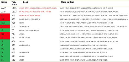 13종의 AMPK activator 후보물질에 대해 AMPK와의 docking score, 수소결합에 참여하는 residue, close contact하는 residue를 조사하여 AMP와 비교함.