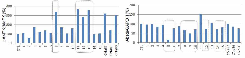 15종의 CNa 계열 변형 화합물에 대한 AMPK활성 및 Abeta 생성 억제능 확인. 20uM, 24시간 처치 (n=2~3).