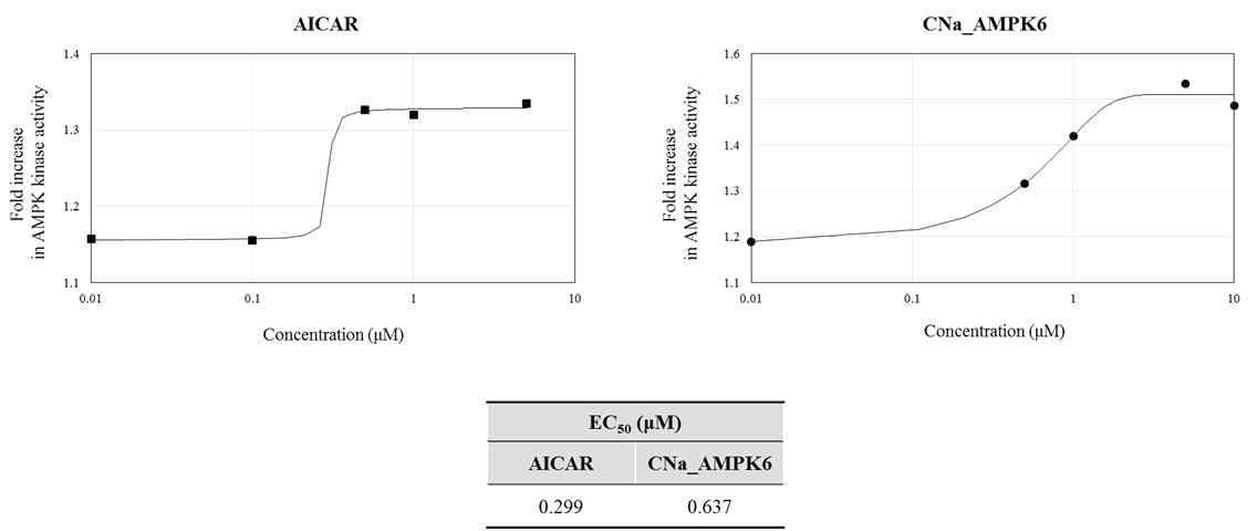 AMPK의 활성물질로 잘 알려진 AICAR와 YE-06의 AMPK 활성 효능 비교 및 EC50 산출