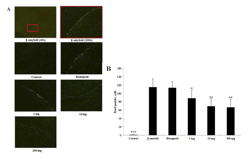 Effects of YE-06 on Aβ1-42-induced neuronal apoptosis assessed by TUNEL assay.