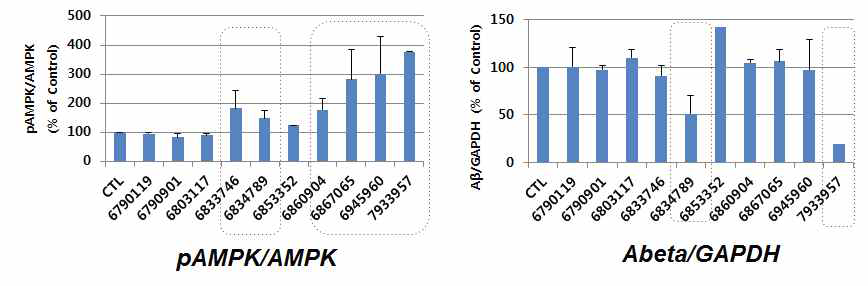 10종의 B1 유사체들의 AMPK 활성 효능 및 Abeta 생성 억제능 관찰 결과.
