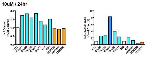 선별된 유도체들과 모체들을 대상으로 제2의 선정 criteria인 NAD/NADH 증가 정도를 비교하여 최종적으로 YE-06을 in vivo 효능을 확인하기 위한 물질로 선정함.