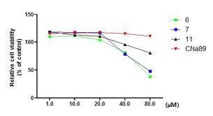 다른 물질들과 YE-06 의 세포독성 비교(MTS assasy). YE-06은 20uM이상에서 독성을 나타내는 것으로 확인됨