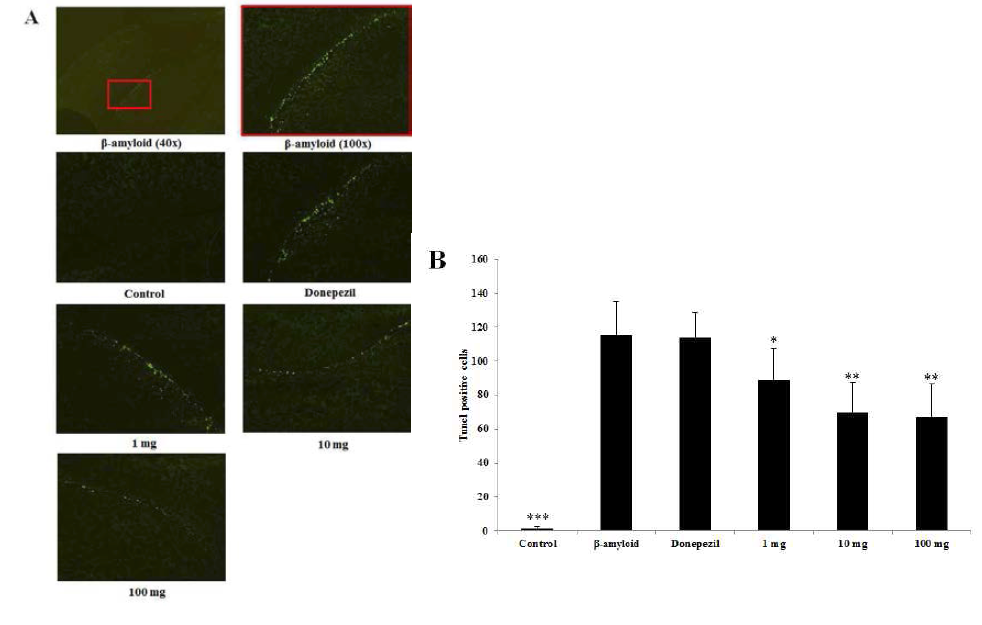 Effects of YE-06 on Aβ1-42-induced neuronal apoptosis assessed by TUNEL assay.