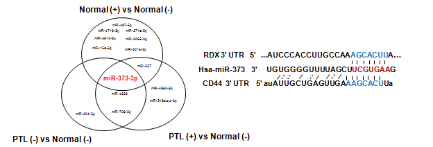 마이크로RNA-373-3p와 이중 타겟된 RDX와 CD44 유전자 발현 분석