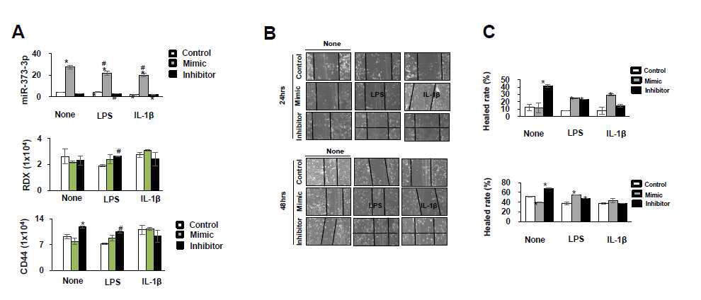 마이크로RNA-373-3p 발현과 영양막세포의 이동능 조절 분석