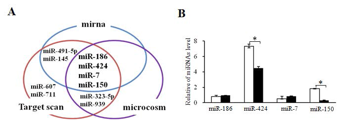 CRP 타겟 마이크로RNA 발굴 (A) 및 LPS에 처리에 의한 영양막세포에서의 각 miR-RNA 발현