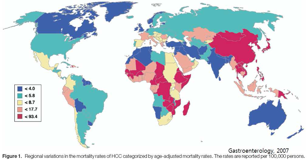 간세포암 (Hepatocelular carcinoma, HCC) 사망률에 대한 국제 비교