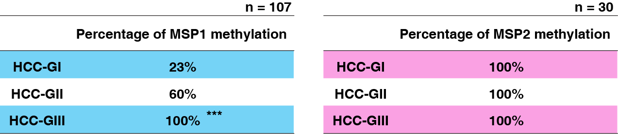 간암환자조직에서 MSP1 (왼쪽)과 MSP2 (오른쪽)를 타겟으로 methylation의 비율을 통계처리한 표