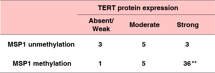 MSP1 methylation과 TERT protein expression level과의 관계를 나타내는 그래프