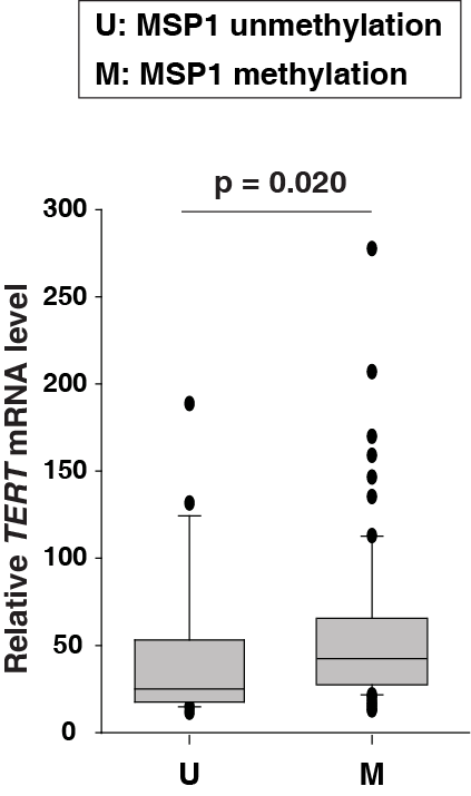 MSP1 methylation과 TERT mRNA expression level과의 관계를 나타내는 그래프