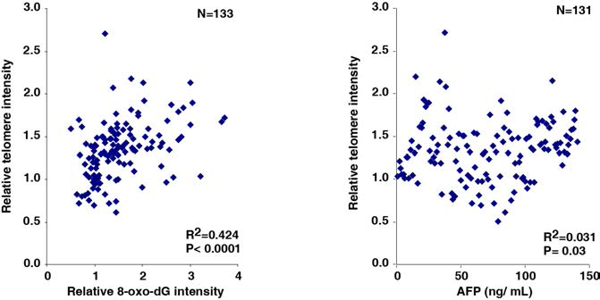텔로미어 길이와 ROS level의 상관도 (왼쪽) 및 AFP level의 상관도 (오른쪽)