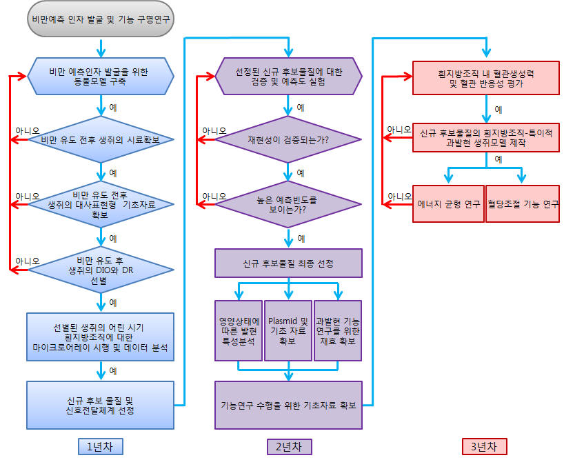 연차별 과제 수행 추진개략도