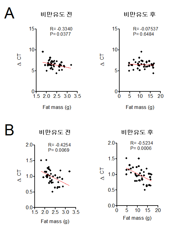 A) 비만유도 전 흰지방조직 내Leptin의 발현량과 비만유도 전 또는 후 지방함량의 상관관계.