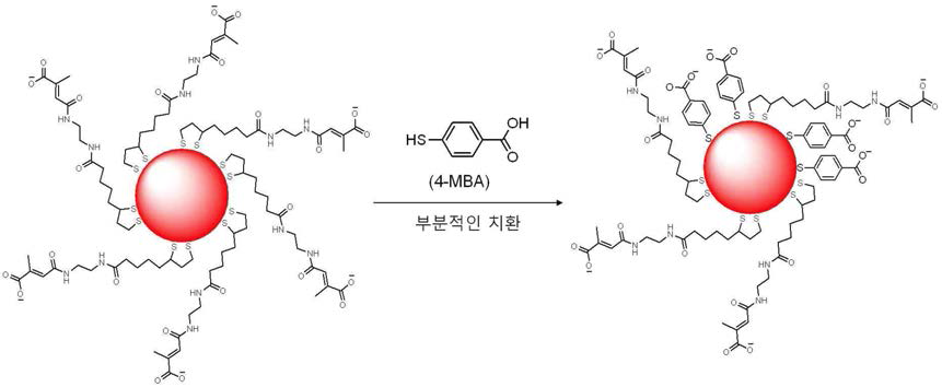 지능형 금 나노 입자와 4-MBA의 복합체 형성 모식도