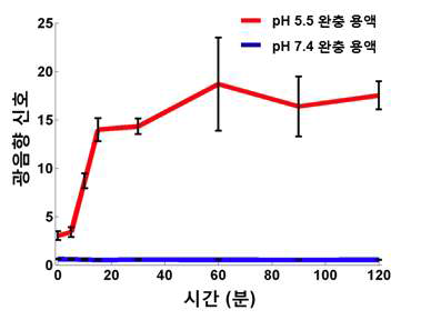 지능형 금 나노 입자를 pH 7.4(청색)와 pH 5.5(적색) 완충용액에서 분산 시켰을 때, 시간별로 측정한 광음향 신호 그래프