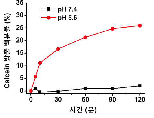 pH 7.4 완충용액 (흑색)과 pH 5.5 완충용액 (적색)에서 측정한 calcein의 방출 백분율 (%) 그래프