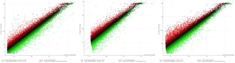 Scatter Plot.