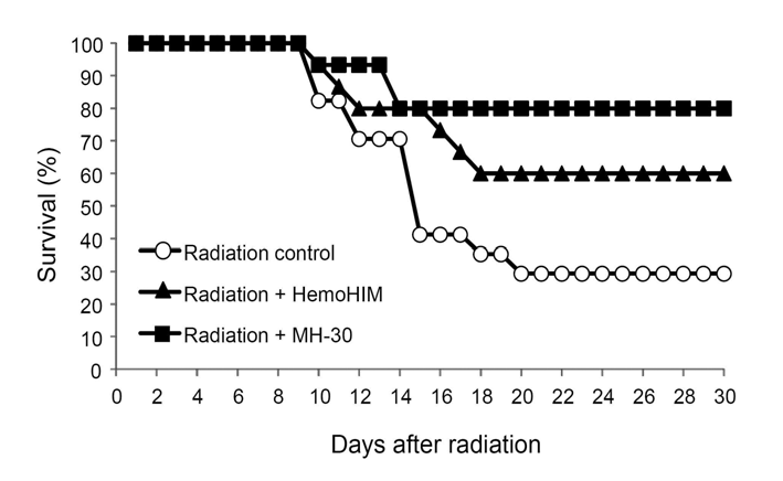 방사선 조사 마우스에서 MH-30에 의한 30일간 생존율 증가 효과.
