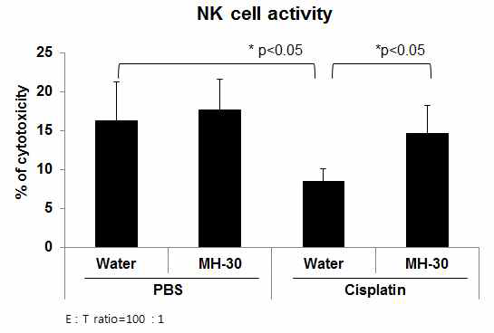 흑색종세포 이식 후 항암제 암치료 동물모델에서 MH-30 투여에 의한 NK 세포 활성 증진 효과
