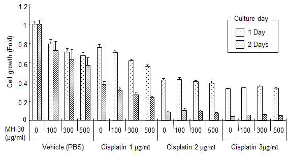 MH-30과 cisplatin 동시 처리 시 폐암 세포주 (LLC1)의 증식 억제 효과 (in vitro)