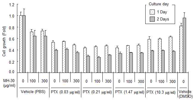 MH-30과 paclitaxel 동시 처리 시 유방암 세포주 (EMT-6)의 증식 억제효과 (in vitro)