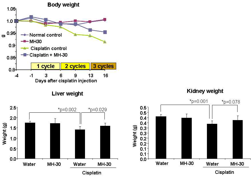 항암제(Cisplatin) 부작용 동물모델에서 체중 및 간과 신장 조직 무게 감소에 대한 MH-30의 경감 효과.