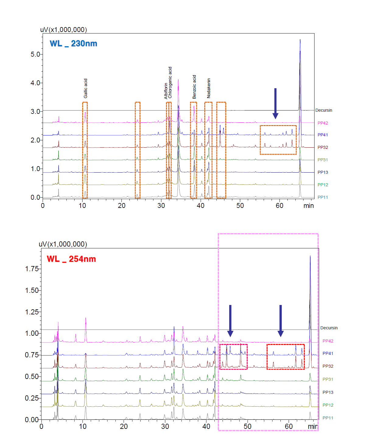 지용성 물질이 잘 분리되는 조건에서 PP층에 대한 HPLC finger printing 결과 ↓: 에탄올추출물에서 새롭게 검출되는 peaks