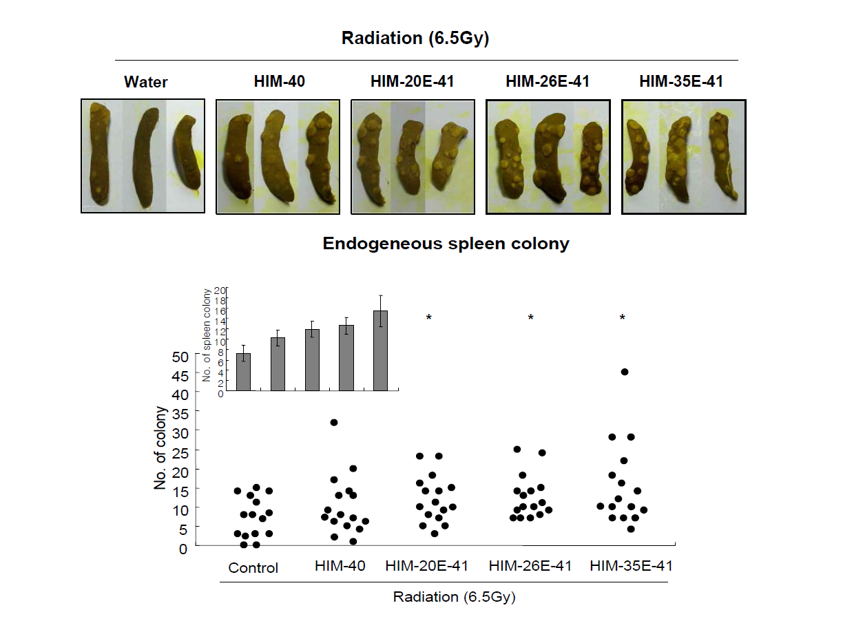 신 후보 조성물 3종 (HIM-20E-41, HIM-26E-41, HIM-35E-41)의 방사선에 대한 조혈계 방호 및 재생성 증진 효능 비교.
