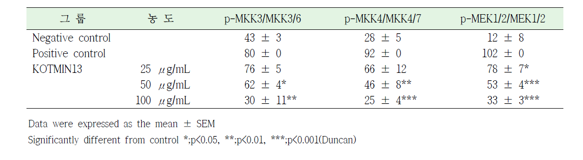 RAW 264.7 세포에서 KOTMIN13의 MAP kinase kinase 인산화에 대한 영향