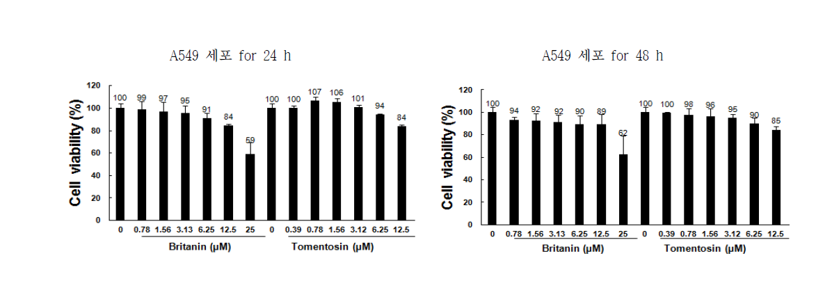 A549 세포에서 britanin 및 tomentosin의 세포독성