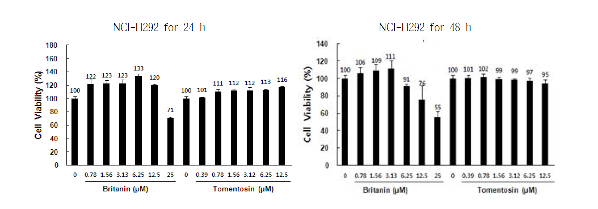 NCI-H292 세포에서 britanin 및 tomentosin의 세포독성