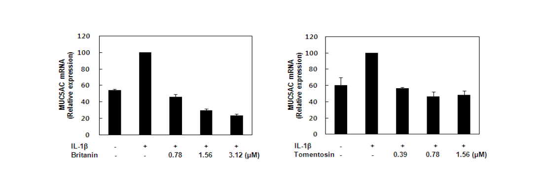 NCI-H292에서 britanin 및 tomentosin의 MUC5AC 유전자 발현에 대한 영향