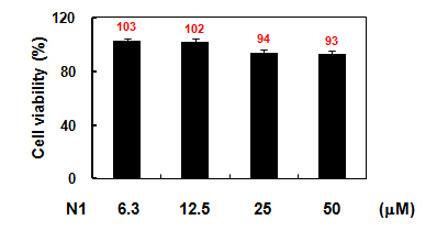 RAW 264.7 세포에서 N1의 세포독성